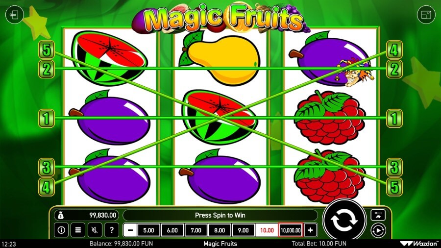 Magic Fruits Paylines