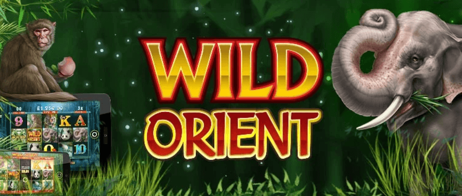 Wild Orient logo